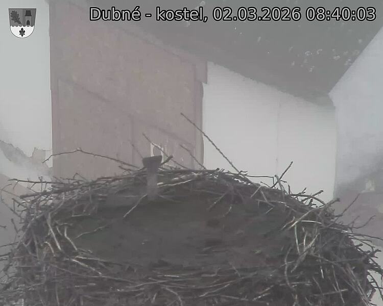 Capi_Dubne_20260302_084003.jpg (1350&nbsp;x&nbsp;1080)