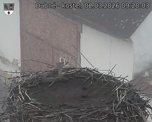 Capi_Dubne_20260302_092003.jpg (1350&nbsp;x&nbsp;1080)