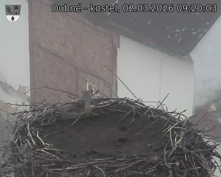 Capi_Dubne_20260302_092003.jpg (1350&nbsp;x&nbsp;1080)