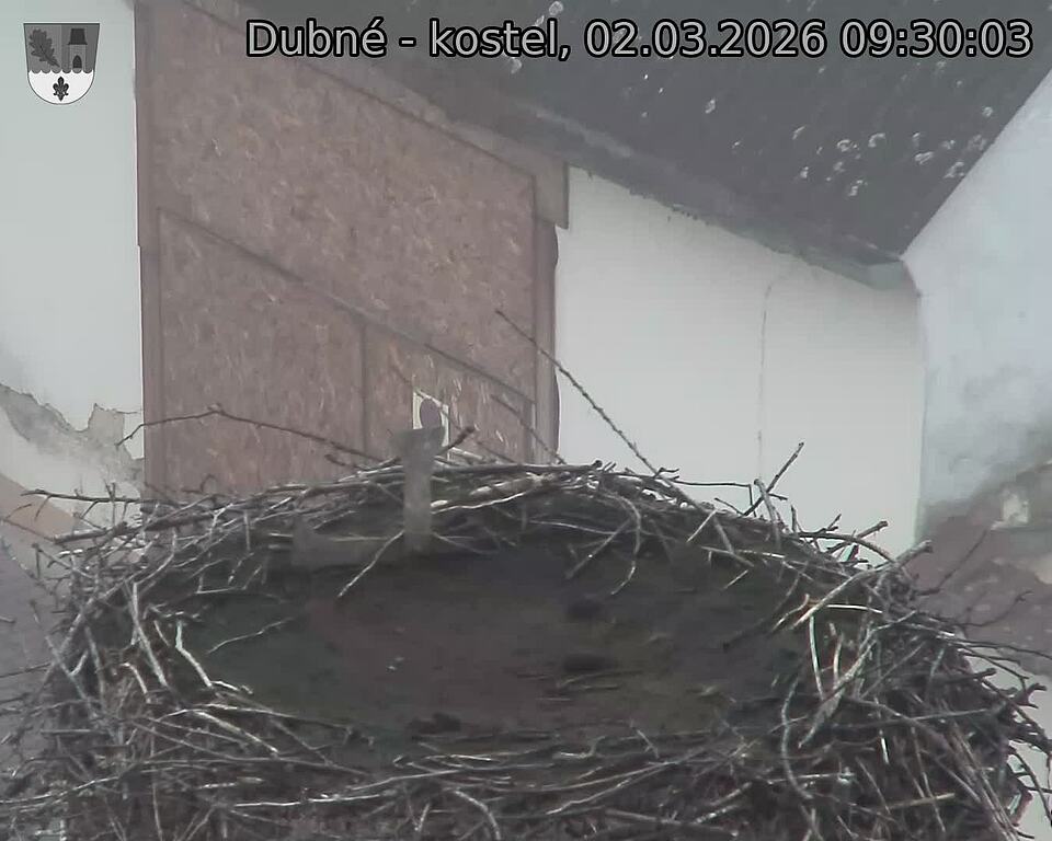 Capi_Dubne_20260302_093003.jpg (1350&nbsp;x&nbsp;1080)
