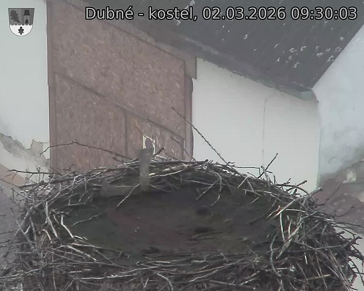 Capi_Dubne_20260302_093003.jpg (1350&nbsp;x&nbsp;1080)