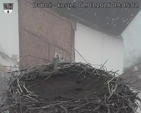 Capi_Dubne_20260302_094502.jpg (1350&nbsp;x&nbsp;1080)