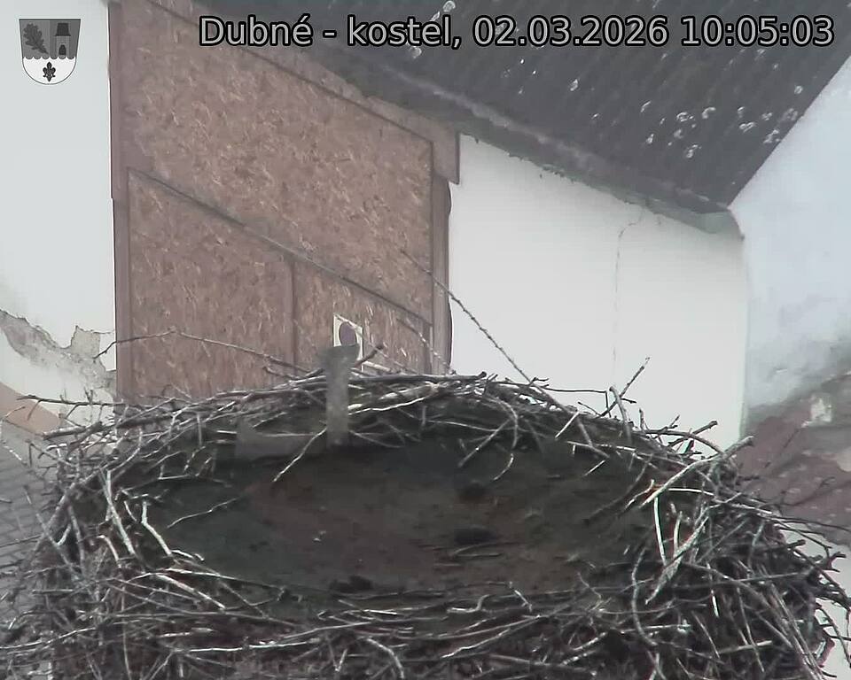 Capi_Dubne_20260302_100503.jpg (1350&nbsp;x&nbsp;1080)
