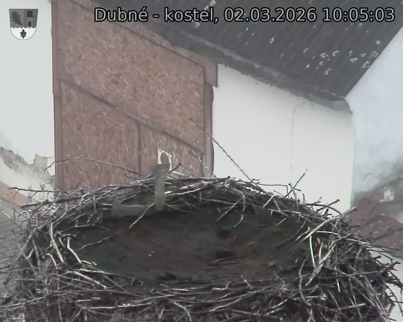 Capi_Dubne_20260302_100503.jpg (1350&nbsp;x&nbsp;1080)
