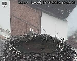 Capi_Dubne_20260302_100503.jpg (1350&nbsp;x&nbsp;1080)