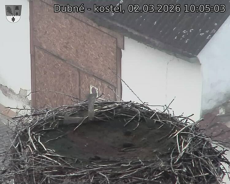 Capi_Dubne_20260302_100503.jpg (1350&nbsp;x&nbsp;1080)
