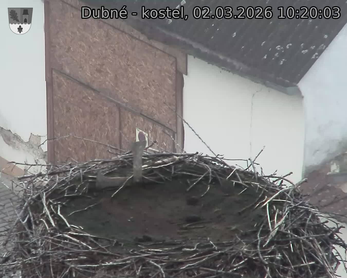 Capi_Dubne_20260302_102003.jpg (1350&nbsp;x&nbsp;1080)