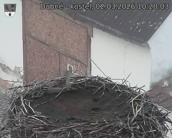 Capi_Dubne_20260302_102003.jpg (1350&nbsp;x&nbsp;1080)