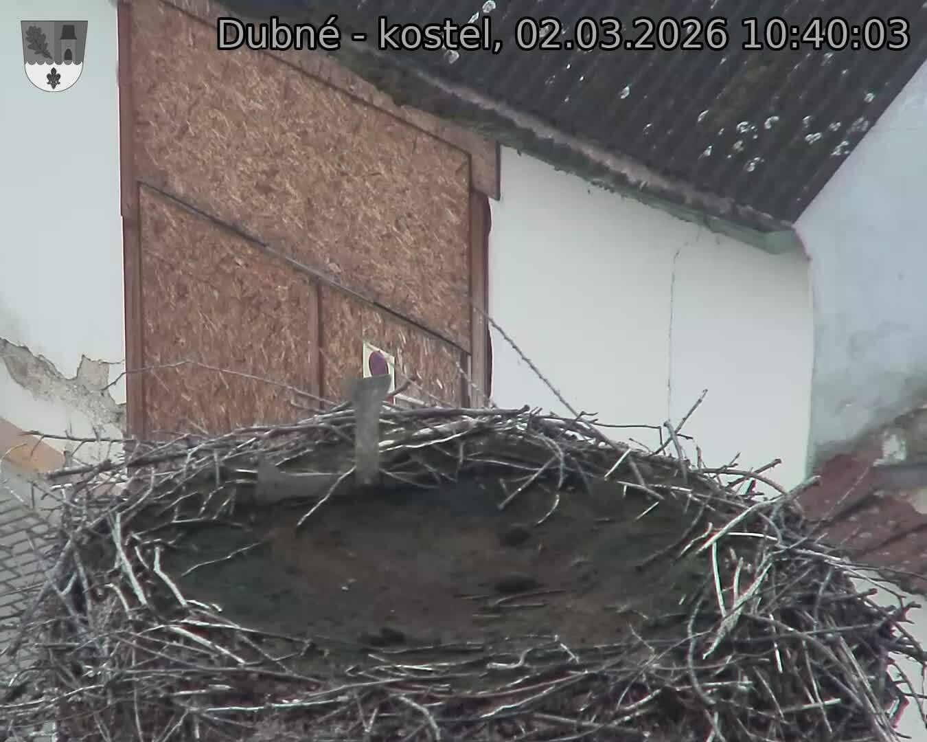 Capi_Dubne_20260302_104003.jpg (1350&nbsp;x&nbsp;1080)