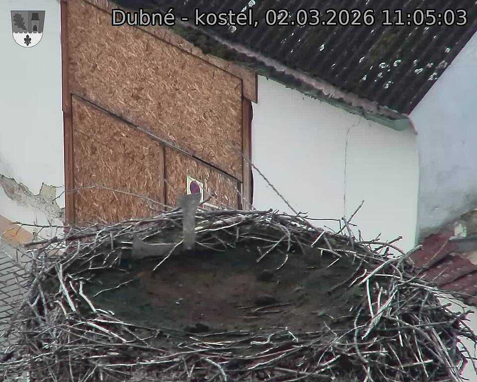 Capi_Dubne_20260302_110503.jpg (1350&nbsp;x&nbsp;1080)