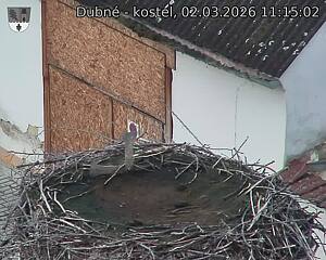 Capi_Dubne_20260302_111502.jpg (1350&nbsp;x&nbsp;1080)