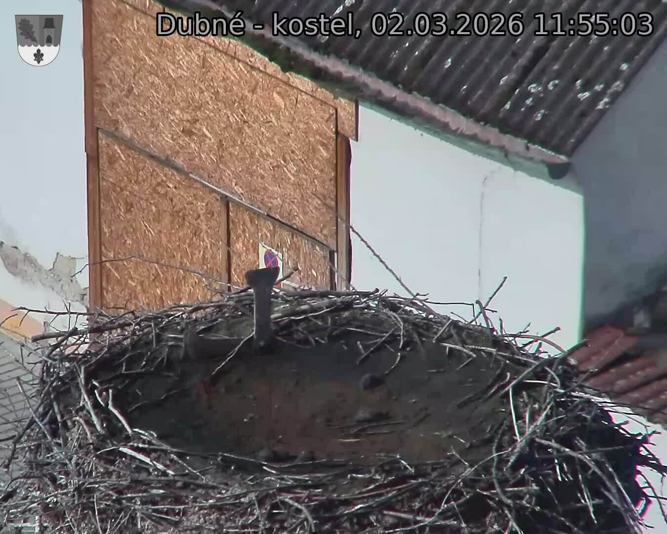 Capi_Dubne_20260302_115503.jpg (1350&nbsp;x&nbsp;1080)