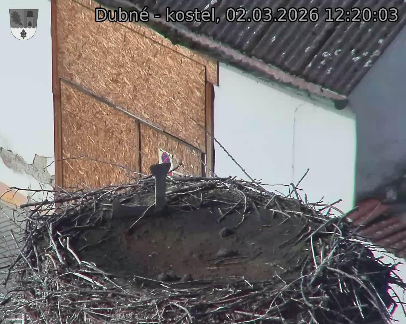 Capi_Dubne_20260302_122003.jpg (1350&nbsp;x&nbsp;1080)