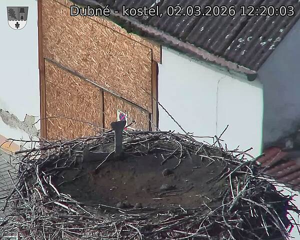 Capi_Dubne_20260302_122003.jpg (1350&nbsp;x&nbsp;1080)