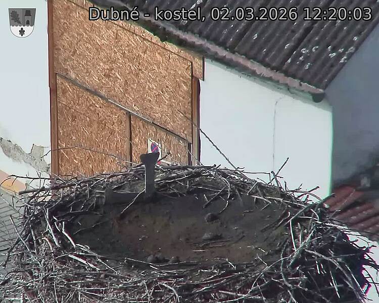 Capi_Dubne_20260302_122003.jpg (1350&nbsp;x&nbsp;1080)