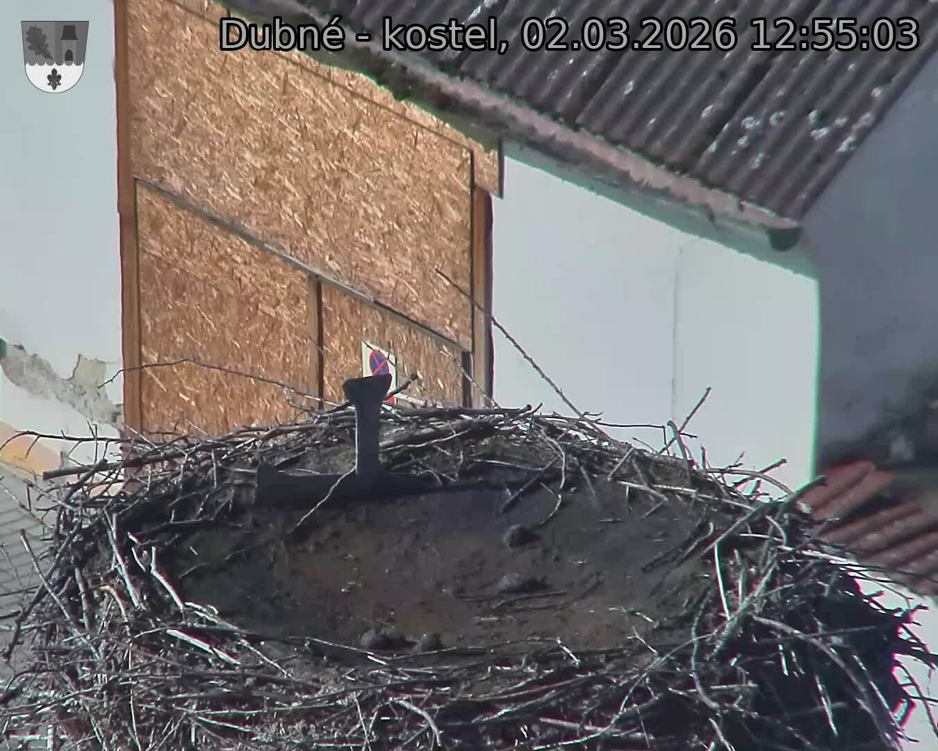 Capi_Dubne_20260302_125503.jpg (1350&nbsp;x&nbsp;1080)