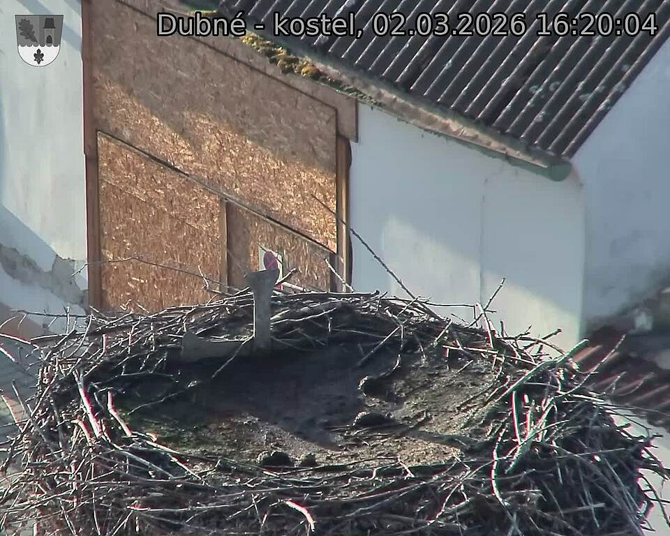 Capi_Dubne_20260302_162004.jpg (1350&nbsp;x&nbsp;1080)