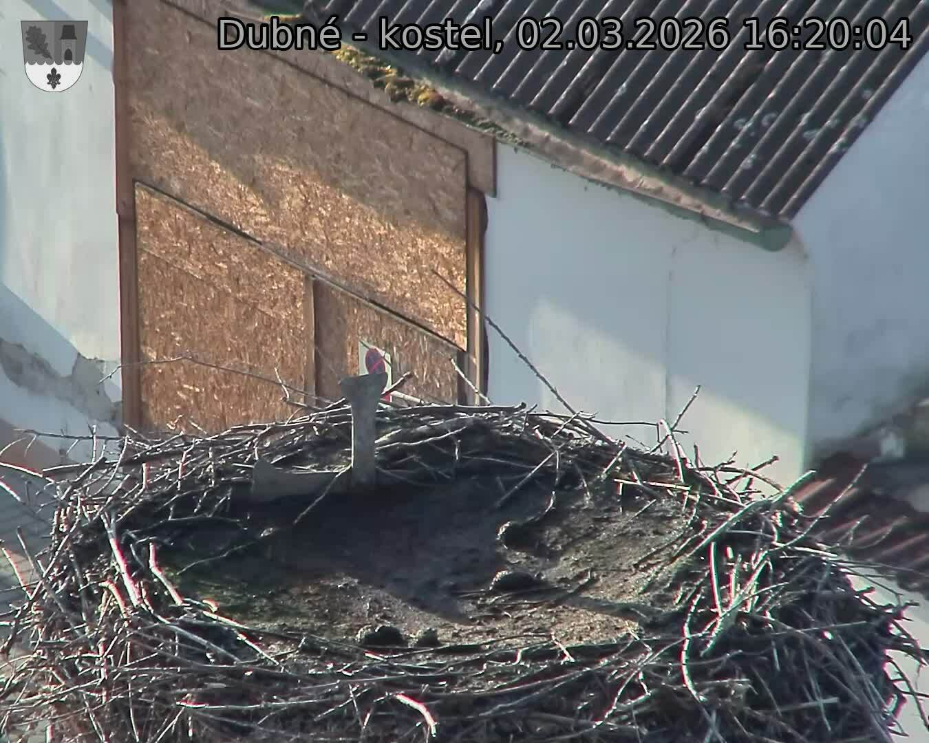 Capi_Dubne_20260302_162004.jpg (1350&nbsp;x&nbsp;1080)