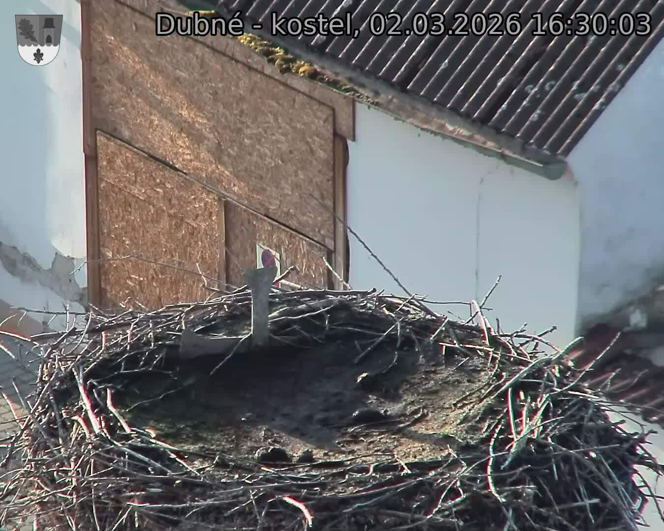 Capi_Dubne_20260302_163003.jpg (1350&nbsp;x&nbsp;1080)