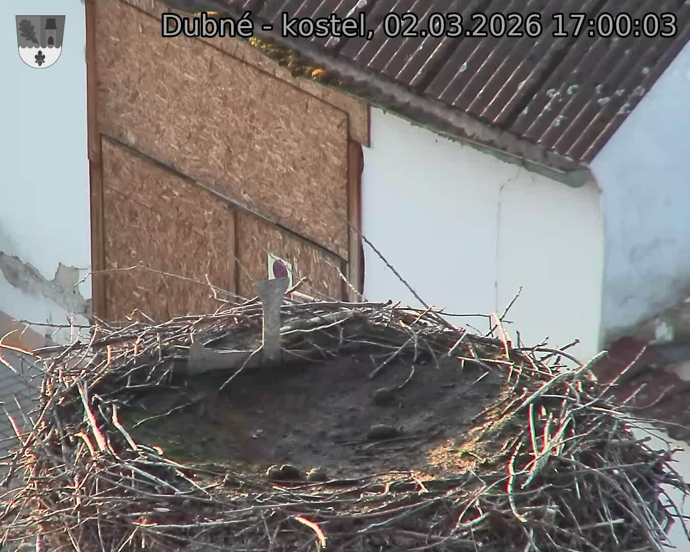 Capi_Dubne_20260302_170003.jpg (1350&nbsp;x&nbsp;1080)