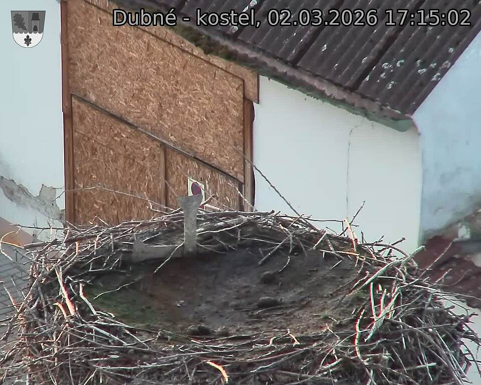 Capi_Dubne_20260302_171502.jpg (1350&nbsp;x&nbsp;1080)
