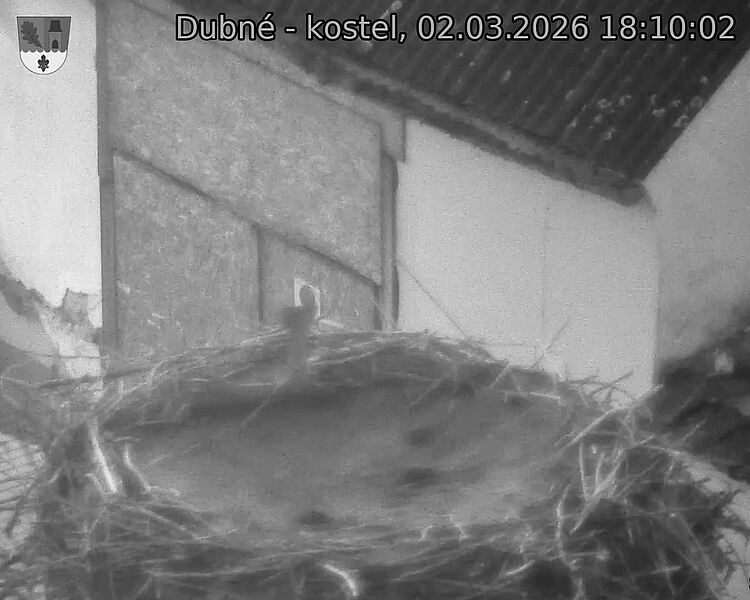 Capi_Dubne_20260302_181002.jpg (1350&nbsp;x&nbsp;1080)