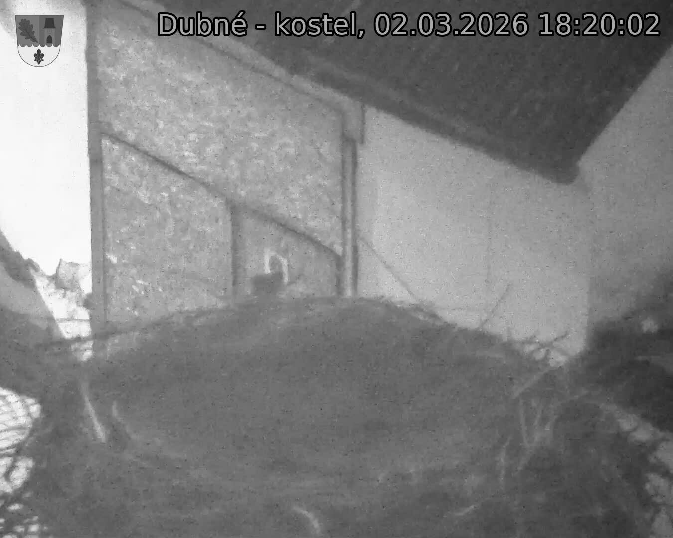 Capi_Dubne_20260302_182002.jpg (1350&nbsp;x&nbsp;1080)