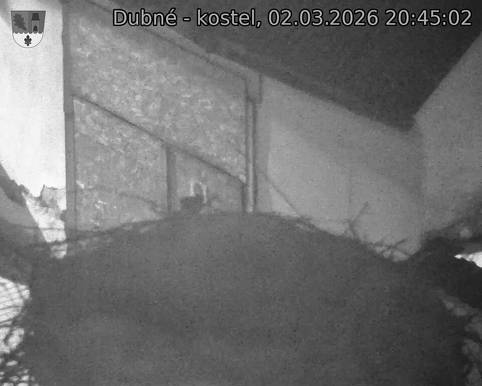 Capi_Dubne_20260302_204502.jpg (1350&nbsp;x&nbsp;1080)