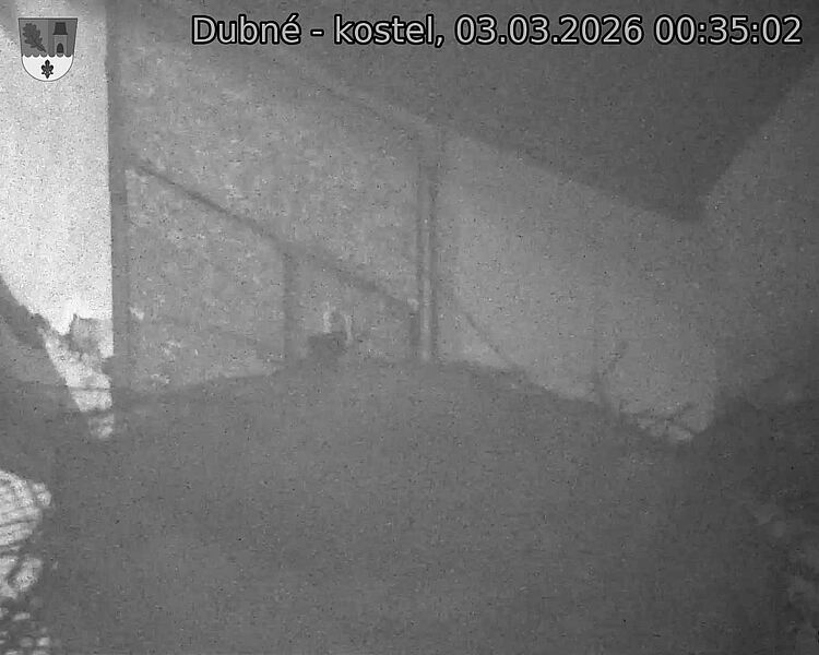 Capi_Dubne_20260303_003502.jpg (1350&nbsp;x&nbsp;1080)