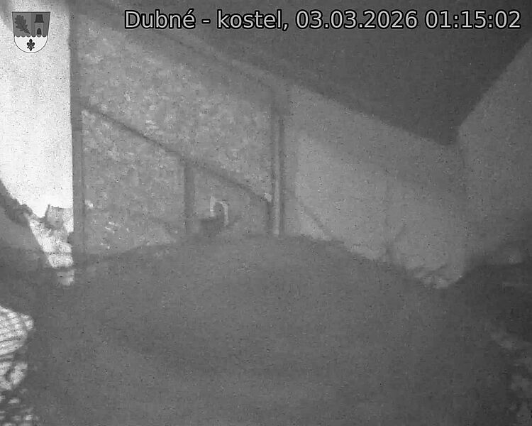 Capi_Dubne_20260303_011502.jpg (1350&nbsp;x&nbsp;1080)