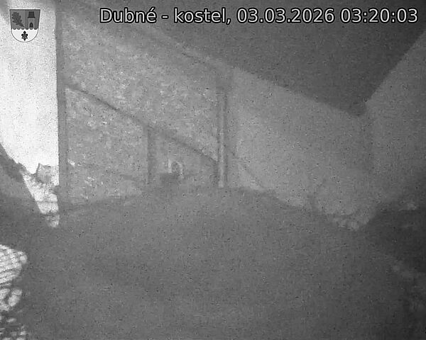 Capi_Dubne_20260303_032003.jpg (1350&nbsp;x&nbsp;1080)