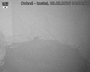 Capi_Dubne_20260303_042002.jpg (1350&nbsp;x&nbsp;1080)