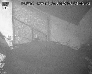 Capi_Dubne_20260303_044503.jpg (1350&nbsp;x&nbsp;1080)