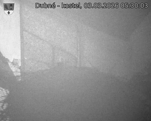 Capi_Dubne_20260303_053003.jpg (1350&nbsp;x&nbsp;1080)