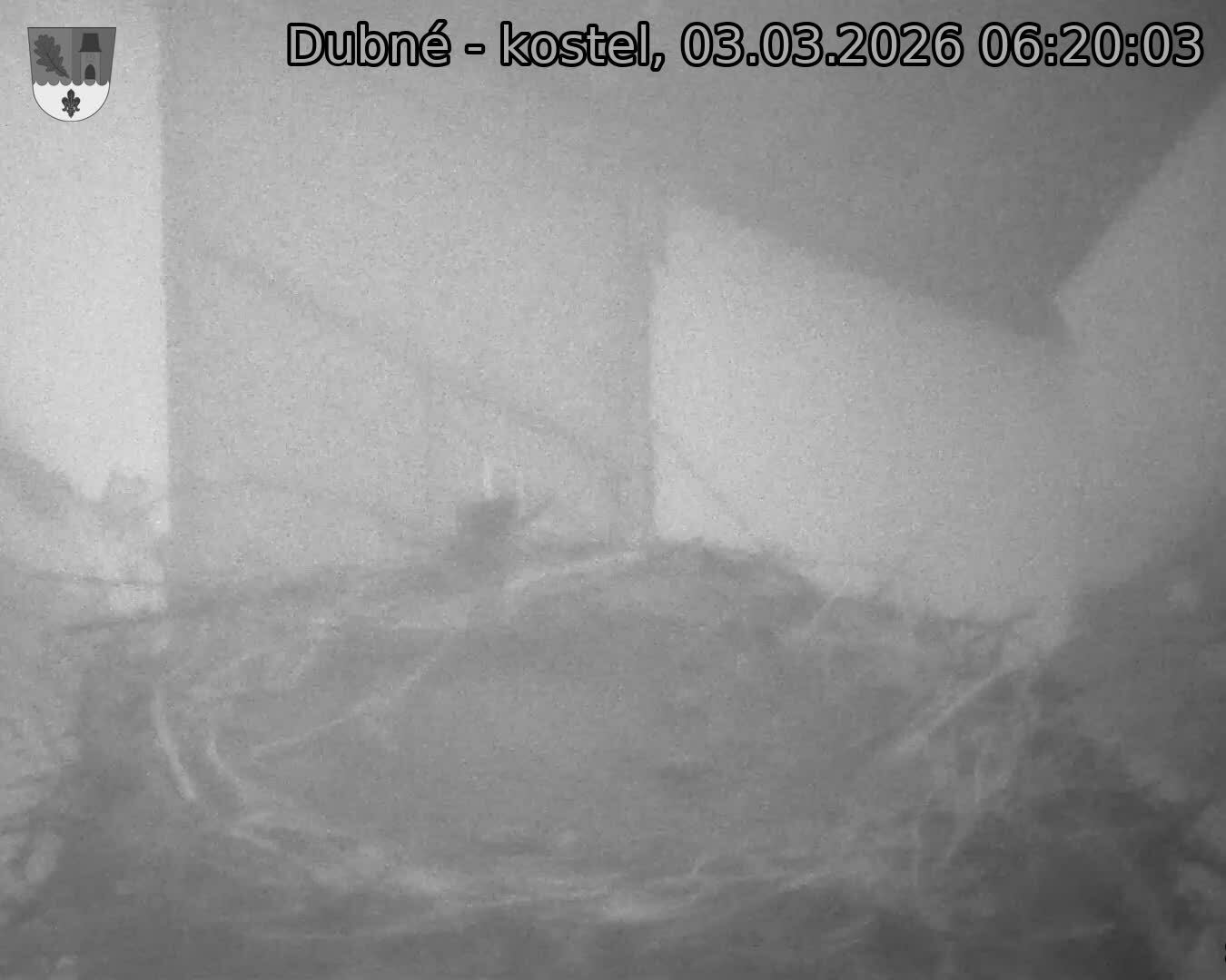 Capi_Dubne_20260303_062003.jpg (1350&nbsp;x&nbsp;1080)