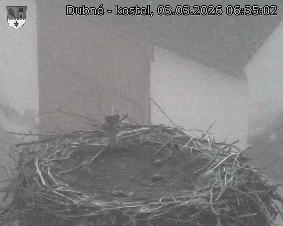 Capi_Dubne_20260303_063502.jpg (1350&nbsp;x&nbsp;1080)