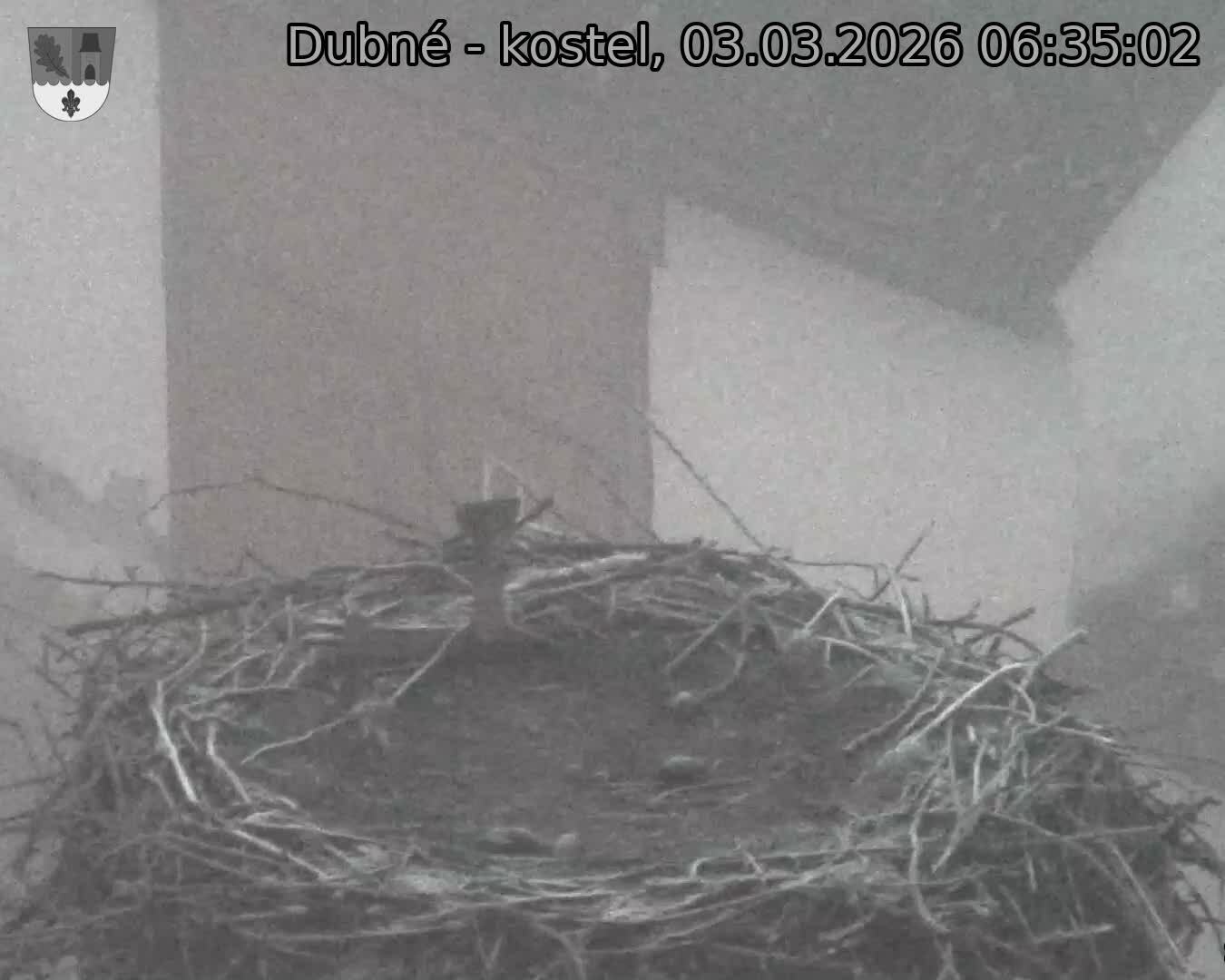 Capi_Dubne_20260303_063502.jpg (1350&nbsp;x&nbsp;1080)