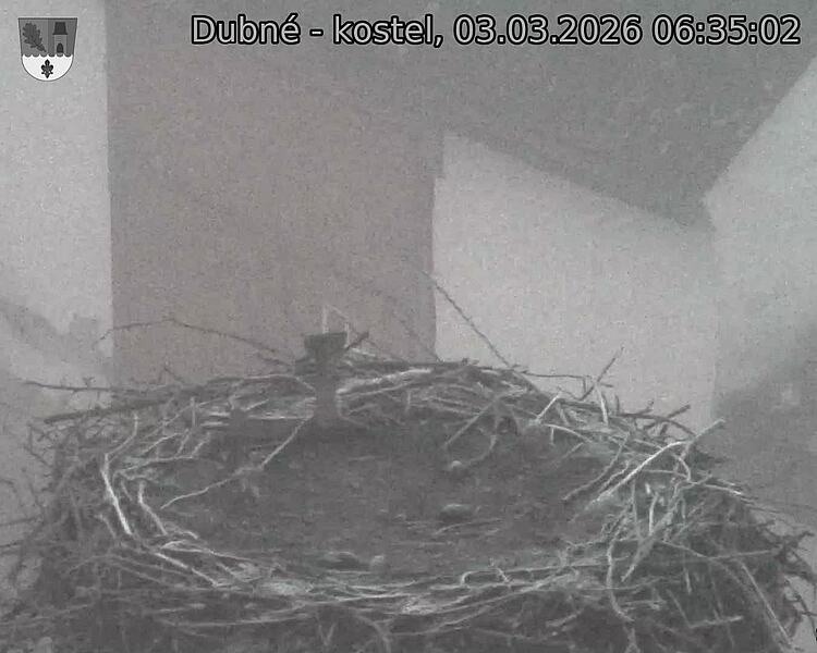 Capi_Dubne_20260303_063502.jpg (1350&nbsp;x&nbsp;1080)