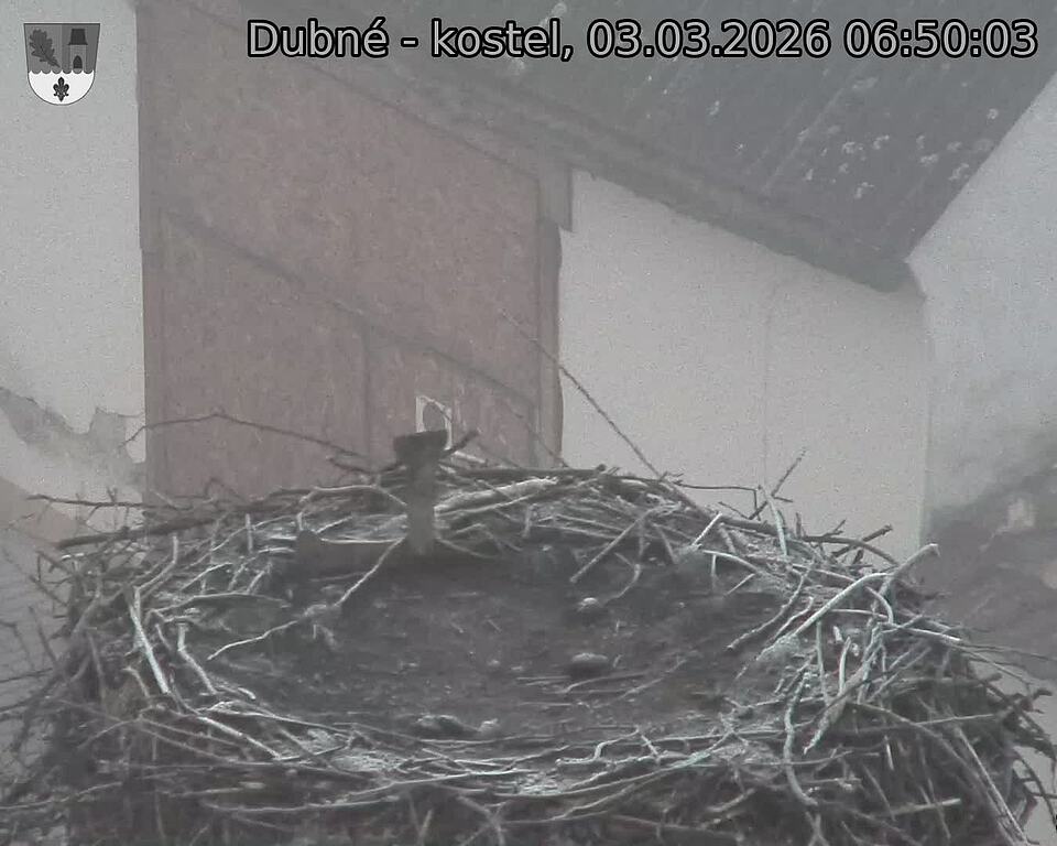 Capi_Dubne_20260303_065003.jpg (1350&nbsp;x&nbsp;1080)