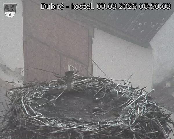 Capi_Dubne_20260303_065003.jpg (1350&nbsp;x&nbsp;1080)