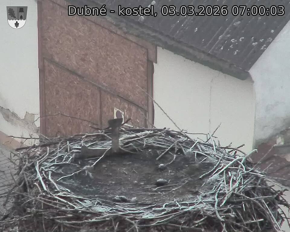 Capi_Dubne_20260303_070003.jpg (1350&nbsp;x&nbsp;1080)