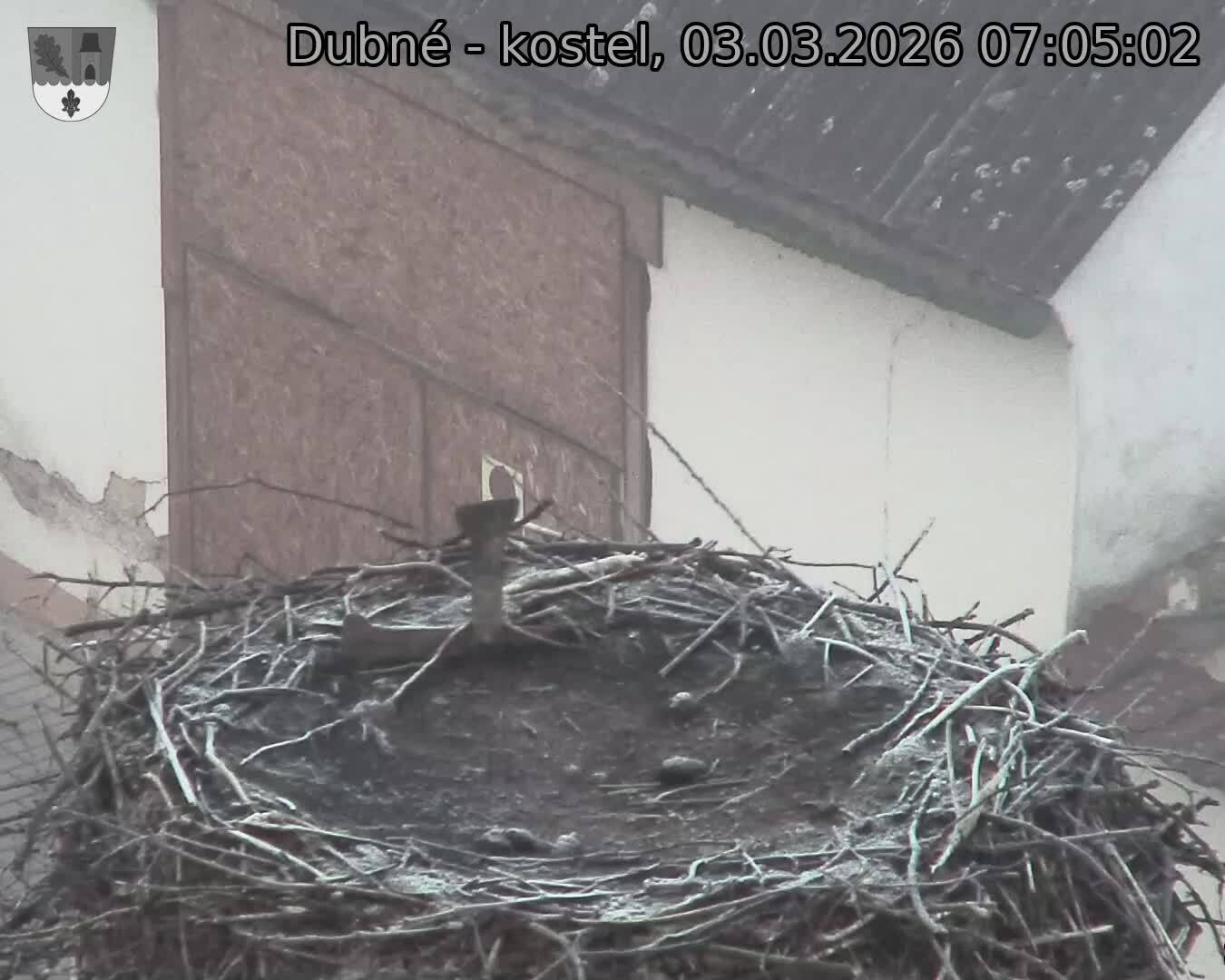 Capi_Dubne_20260303_070502.jpg (1350&nbsp;x&nbsp;1080)