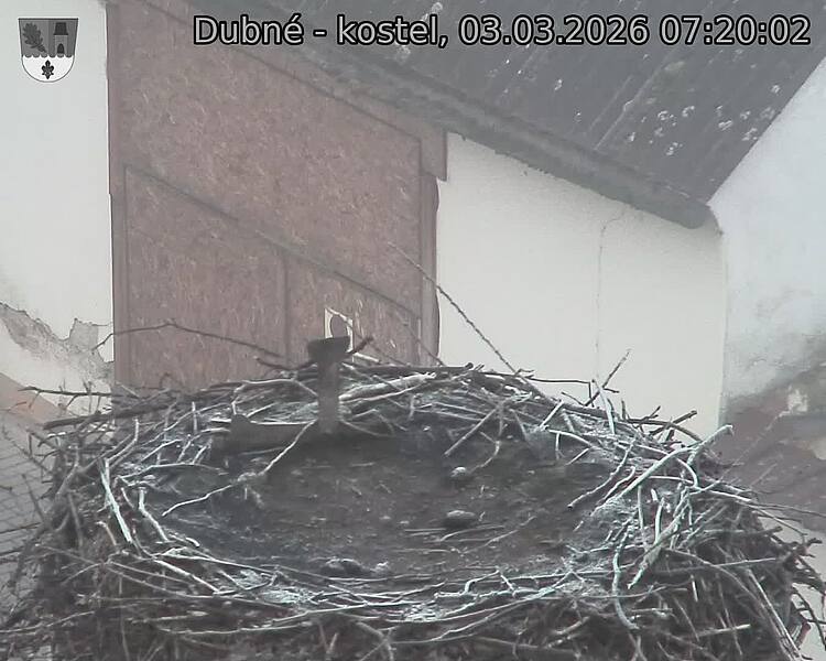 Capi_Dubne_20260303_072002.jpg (1350&nbsp;x&nbsp;1080)