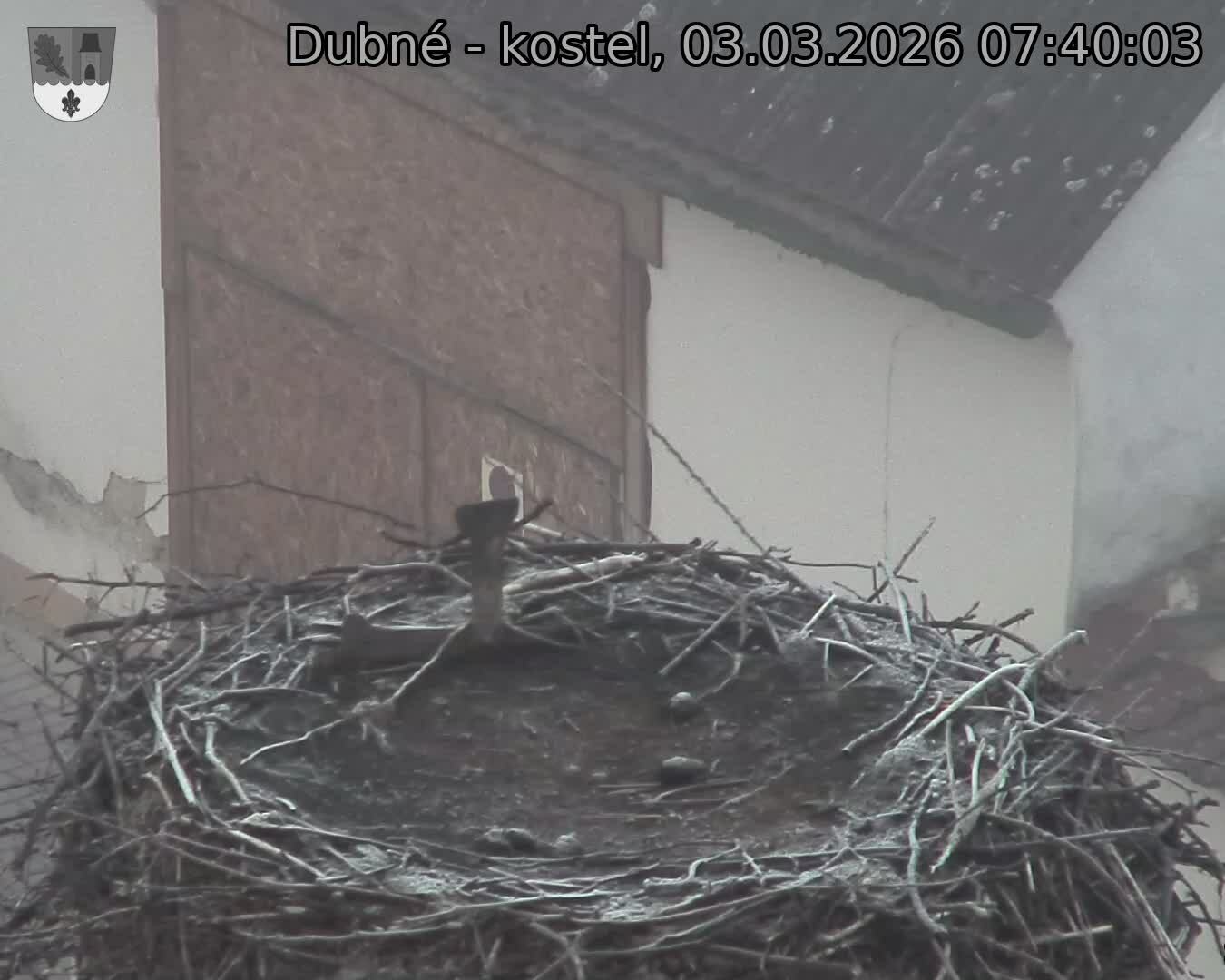 Capi_Dubne_20260303_074003.jpg (1350&nbsp;x&nbsp;1080)