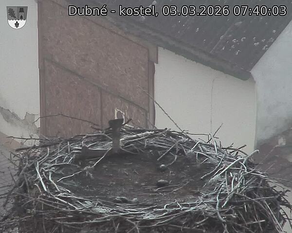 Capi_Dubne_20260303_074003.jpg (1350&nbsp;x&nbsp;1080)