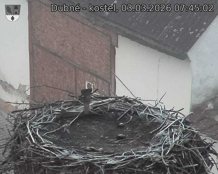 Capi_Dubne_20260303_074502.jpg (1350&nbsp;x&nbsp;1080)