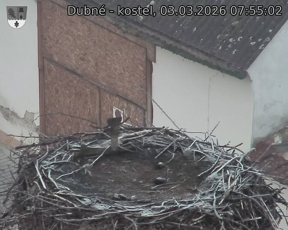 Capi_Dubne_20260303_075502.jpg (1350&nbsp;x&nbsp;1080)
