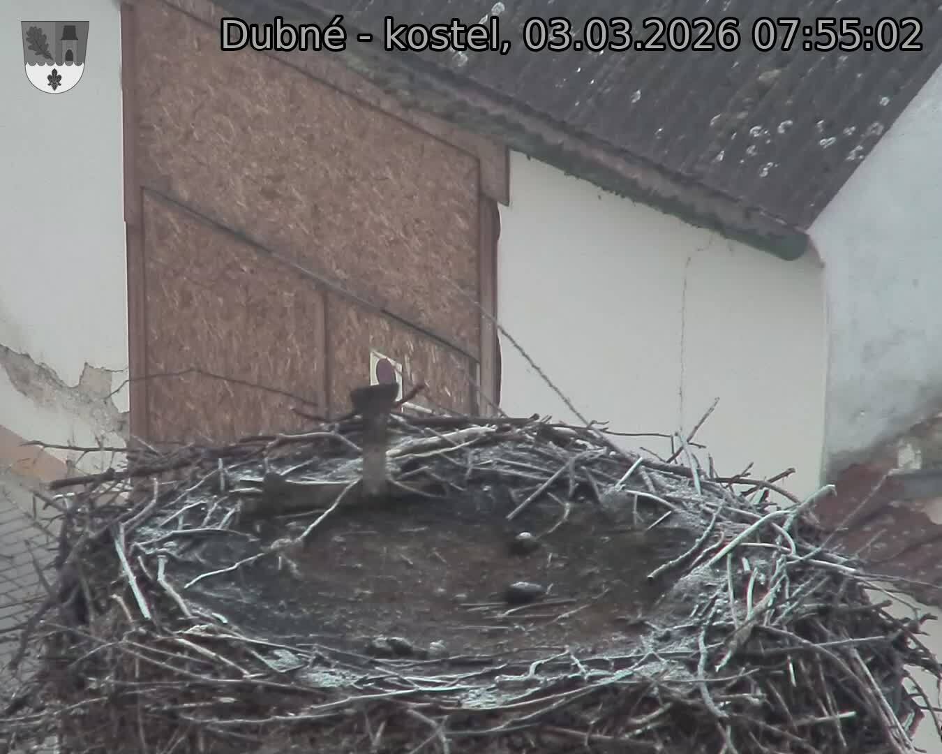 Capi_Dubne_20260303_075502.jpg (1350&nbsp;x&nbsp;1080)
