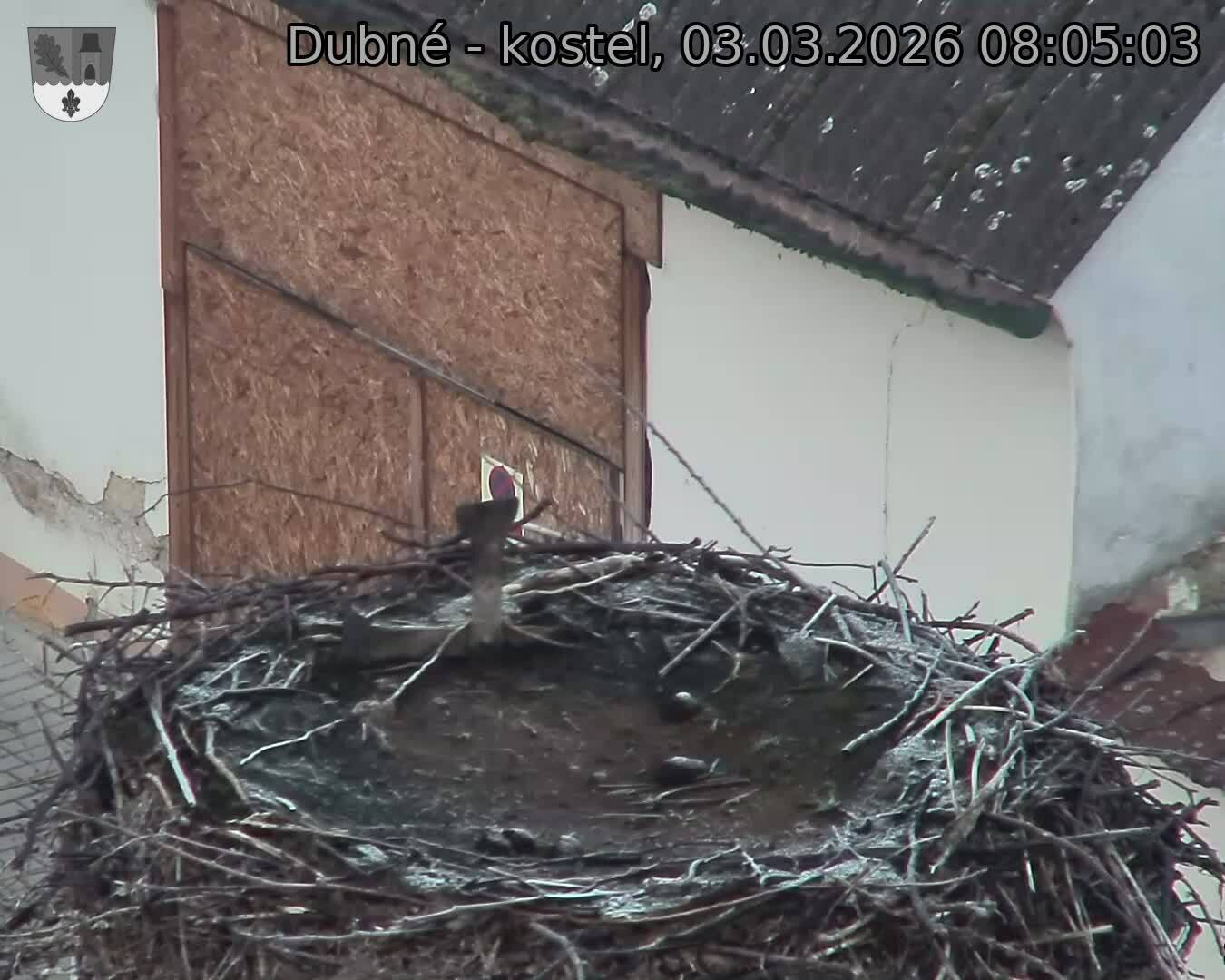 Capi_Dubne_20260303_080503.jpg (1350&nbsp;x&nbsp;1080)