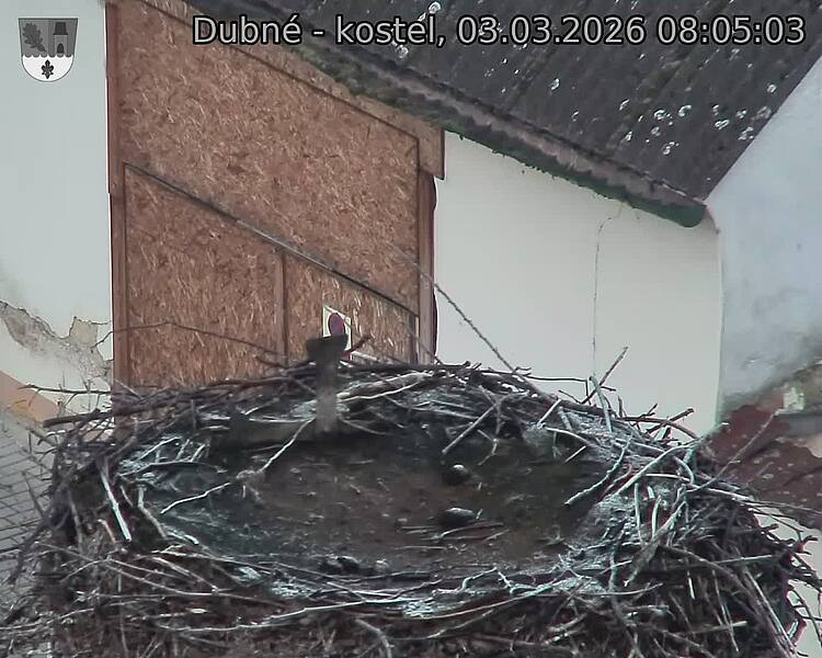 Capi_Dubne_20260303_080503.jpg (1350&nbsp;x&nbsp;1080)